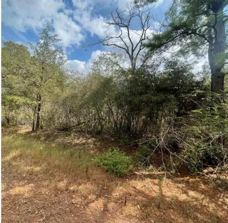 000 Lot 32 And 33 Jackrabbit Dr, Hempstead, Texas image 6