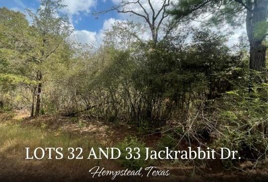 000 Lot 32 And 33 Jackrabbit Dr, Hempstead, Texas image 1