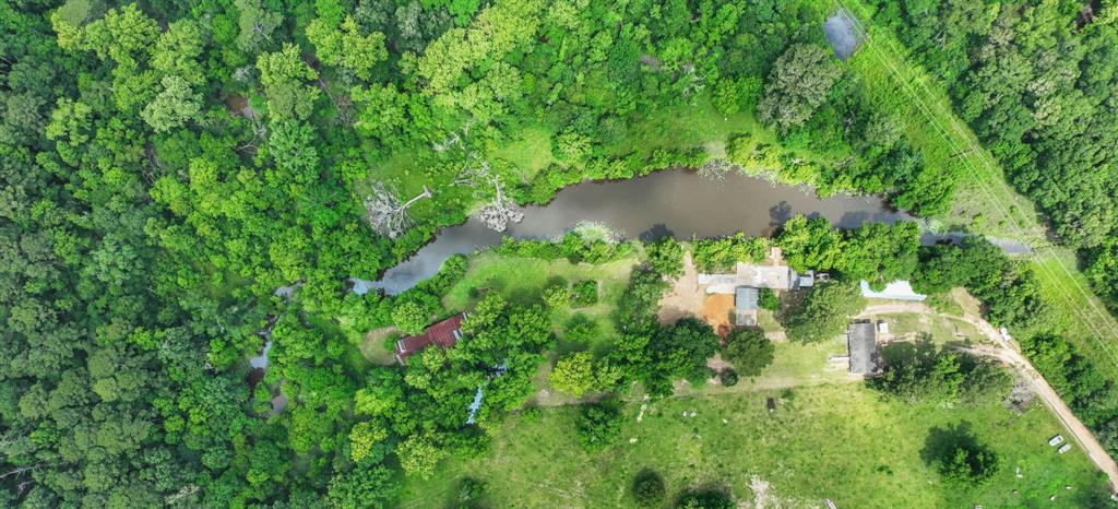 1000 W Dalton Road, Coldspring, Texas image 29