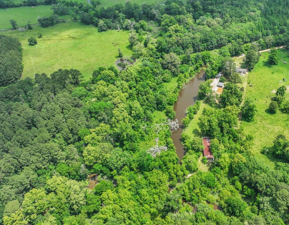 1000 W Dalton Road, Coldspring, Texas image 28