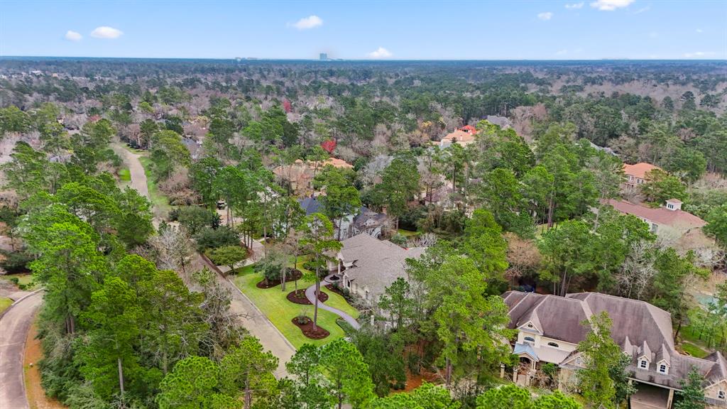 11 Bracebridge Drive, The Woodlands, Texas image 6