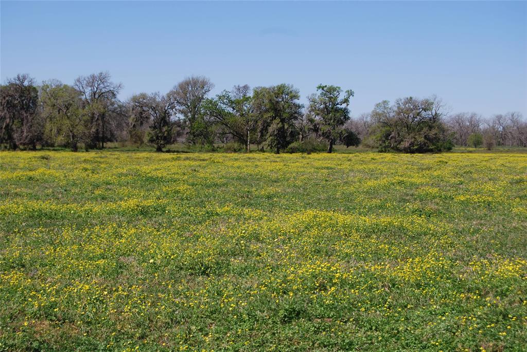 0000 Laprada Trace - Tract 2, Fulshear, Texas image 7