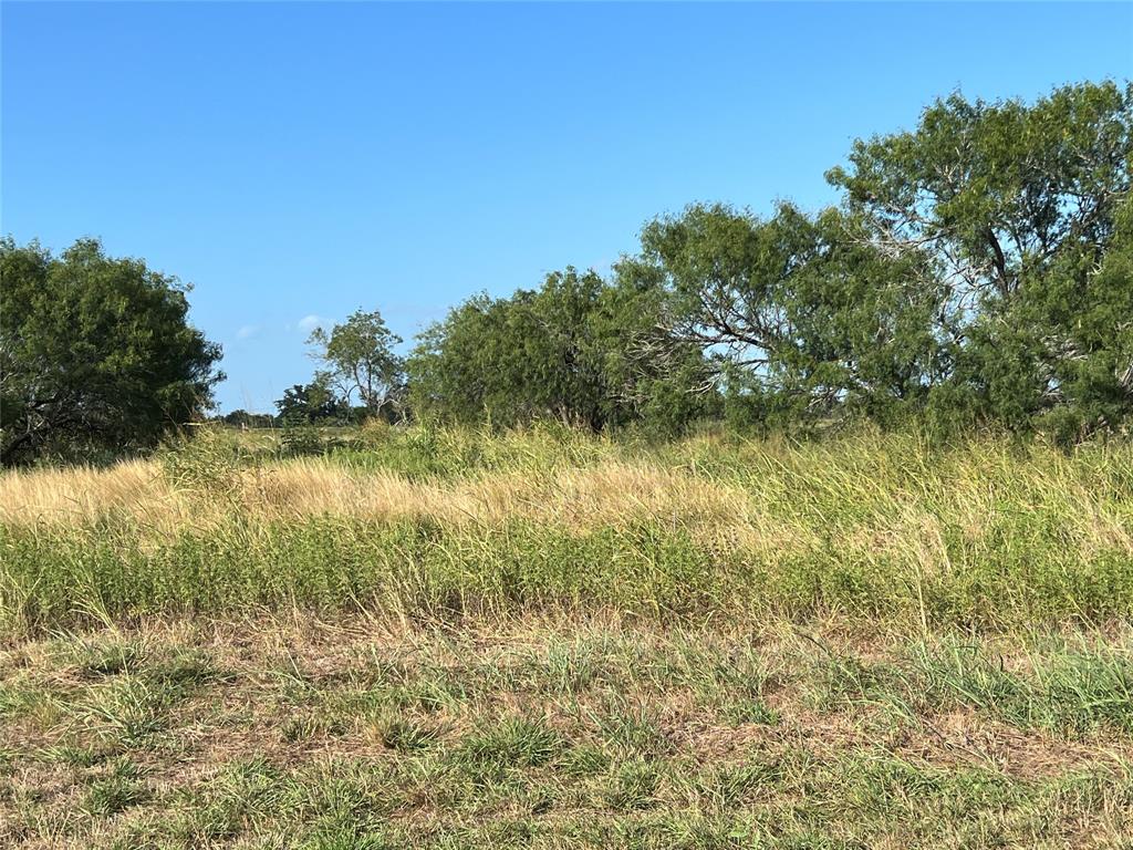 1932 Old Goliad Road, Cuero, Texas image 5