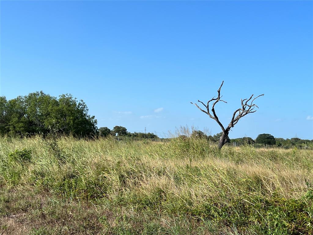 1932 Old Goliad Road, Cuero, Texas image 3