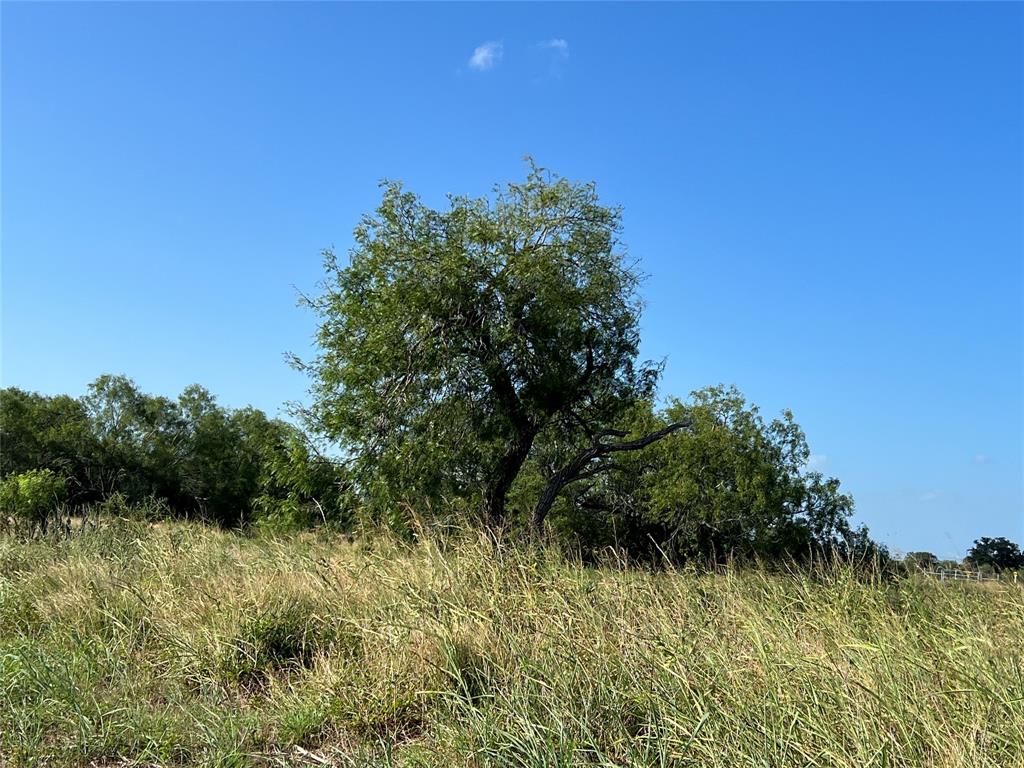 1932 Old Goliad Road, Cuero, Texas image 4