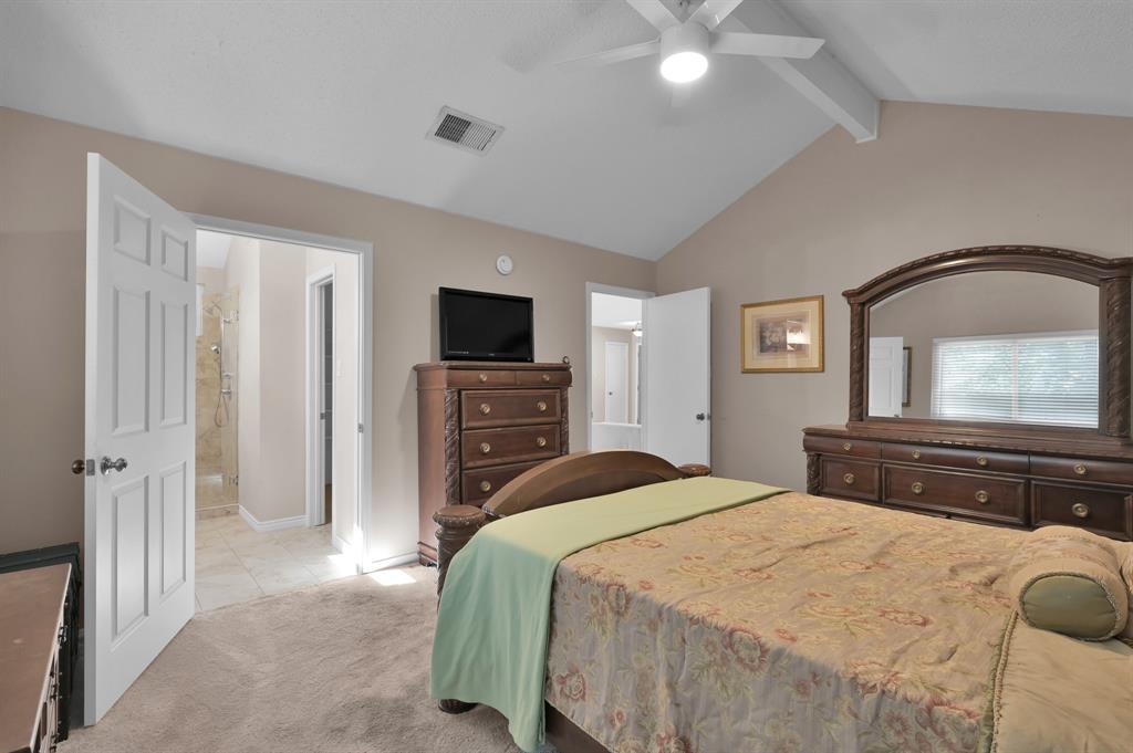 16 N Summer Star Court, The Woodlands, Texas image 23