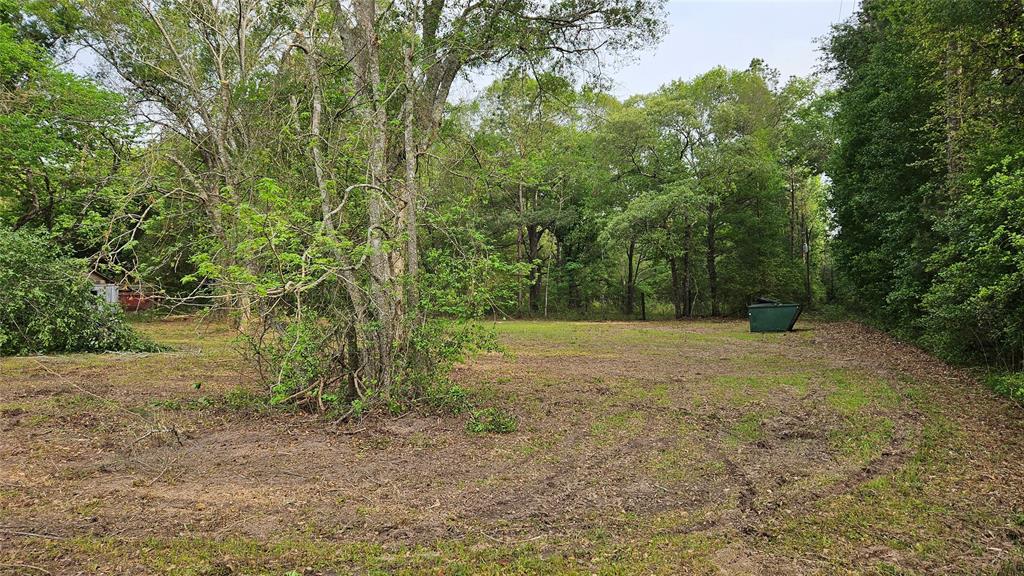 Payne Rd, Conroe, Texas image 3