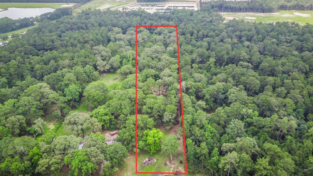 Payne Rd, Conroe, Texas image 1