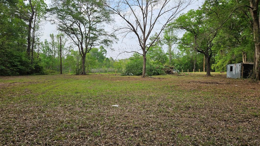 Payne Rd, Conroe, Texas image 9