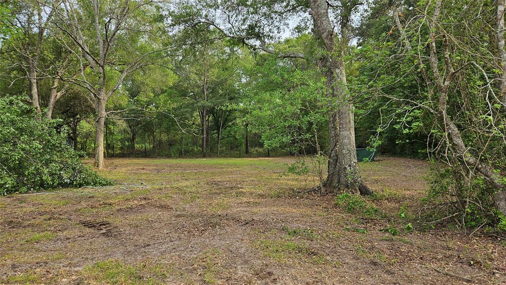 Payne Rd, Conroe, Texas image 4