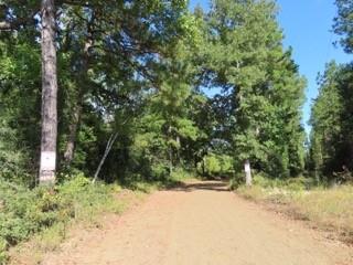 TBD County Road 2133, Burkeville, Texas image 6