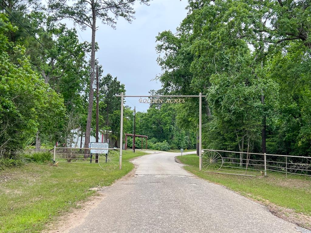 Forest Road, Crockett, Texas image 9