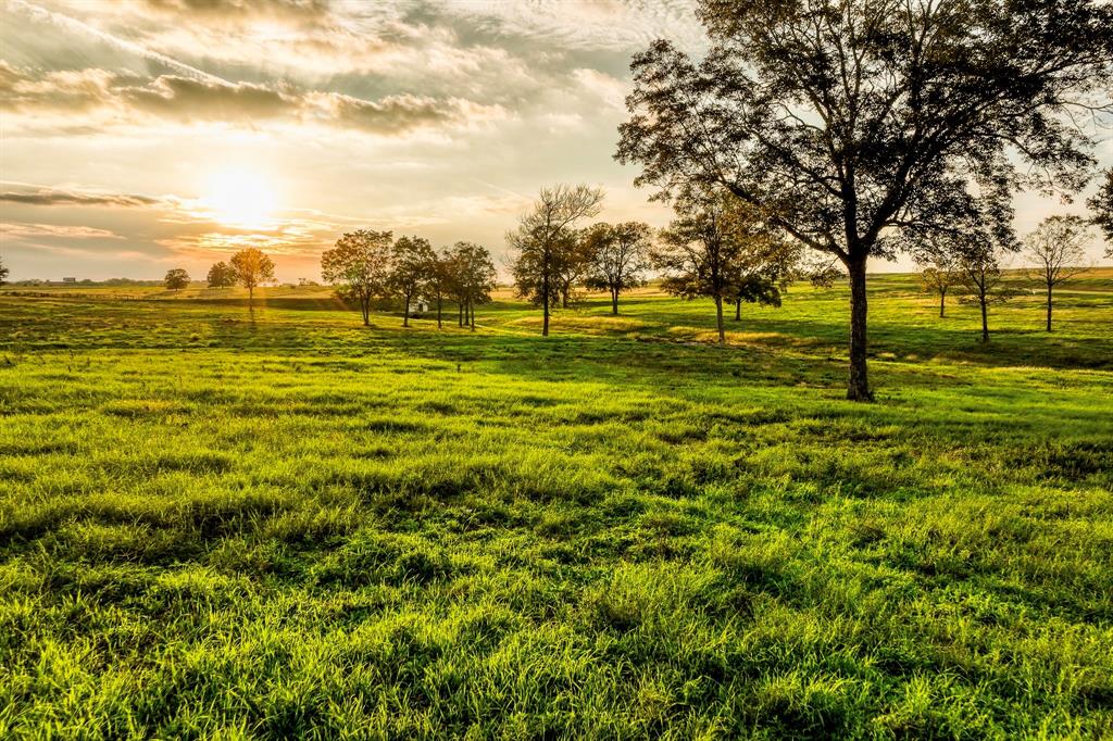 TBD Sunny Hills Drive, Chappell Hill, Texas image 1