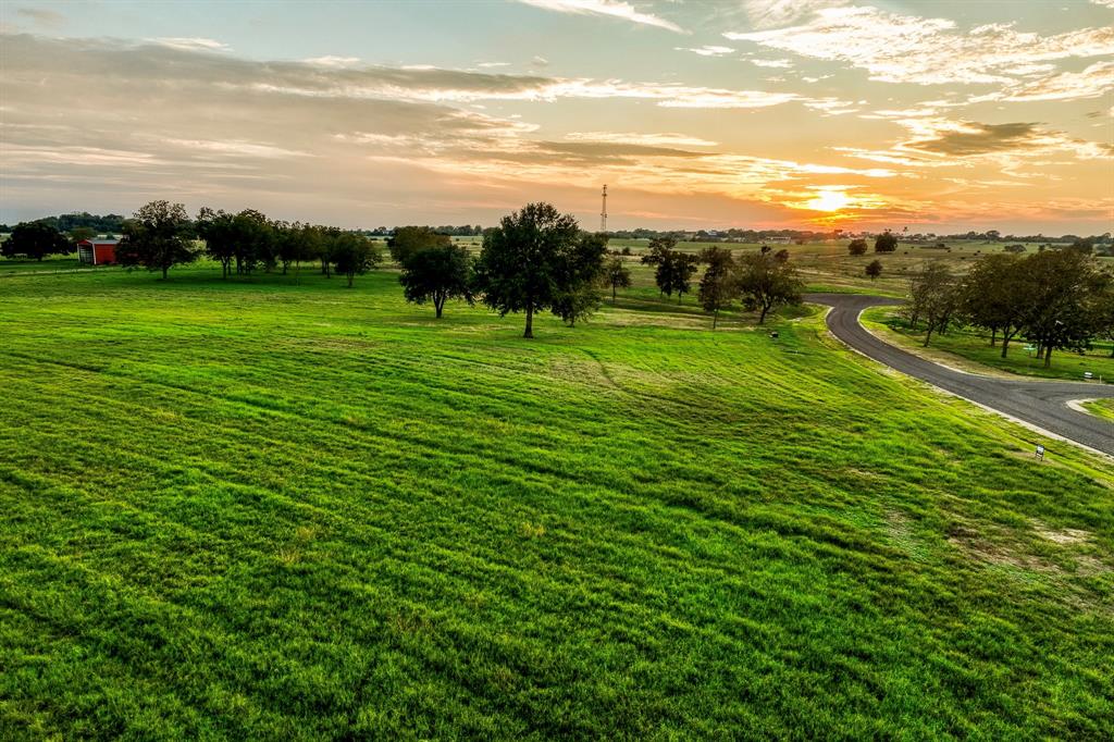 TBD Sunny Hills Drive, Chappell Hill, Texas image 14