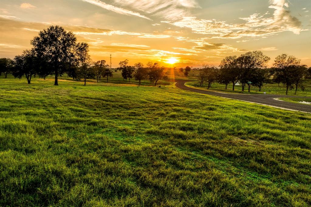 TBD Sunny Hills Drive, Chappell Hill, Texas image 35