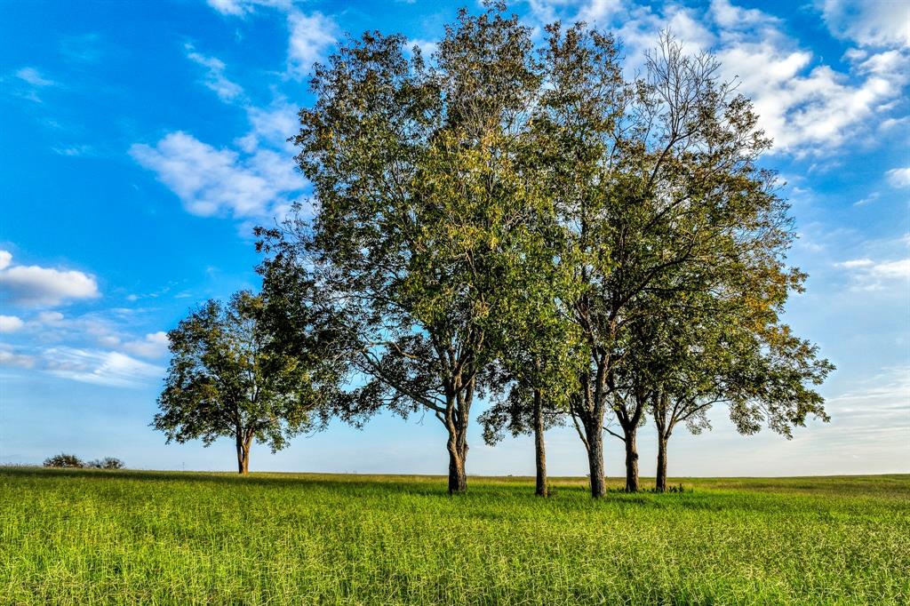 TBD Sunny Hills Drive, Chappell Hill, Texas image 16