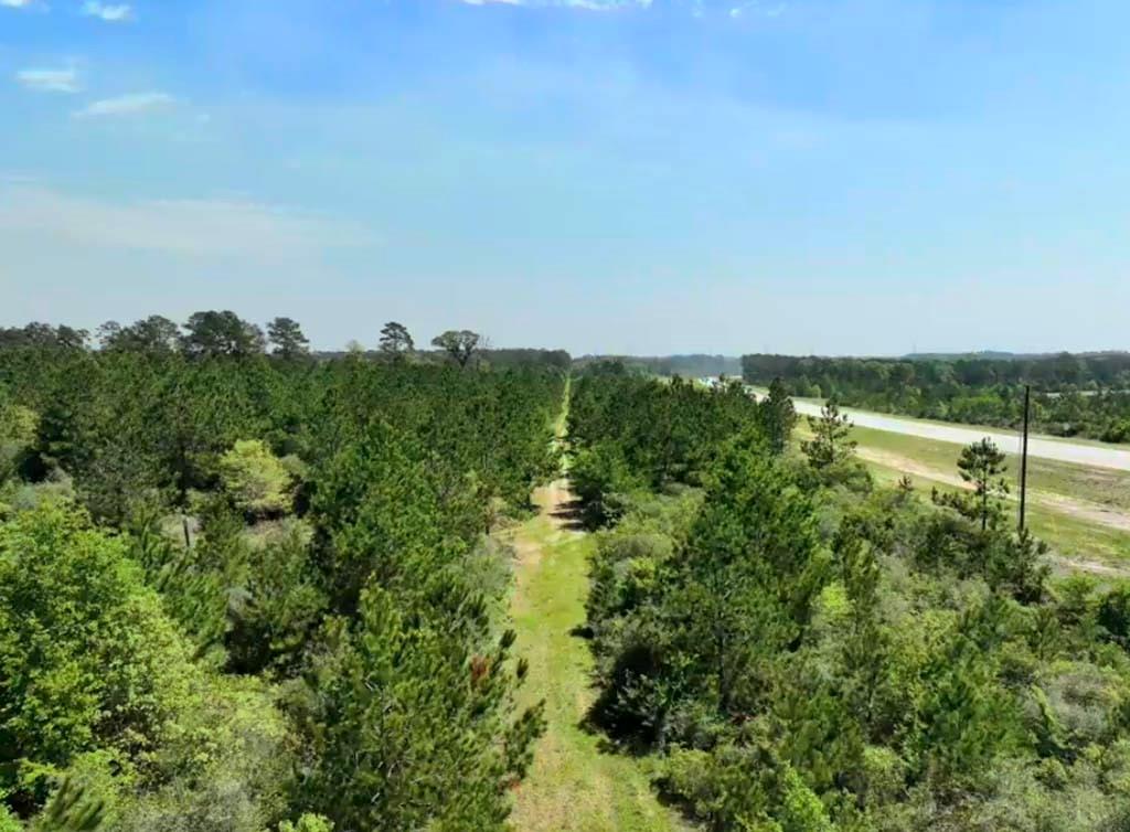 Tract 2 Sh 249, Navasota, Texas image 3