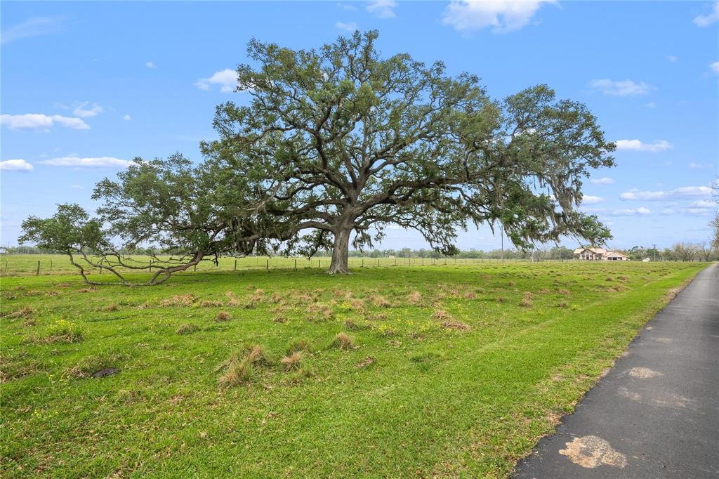 9474 Fm 524, Sweeny, Texas image 6