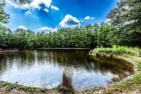 Single Family Residence in Huntsville TX 737 Hardy Bottom Road 22.jpg