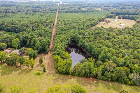 Single Family Residence in Huntsville TX 737 Hardy Bottom Road 24.jpg