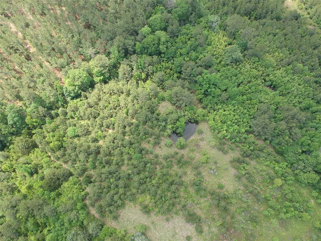 170 County Road 4545, Spurger, Texas image 10