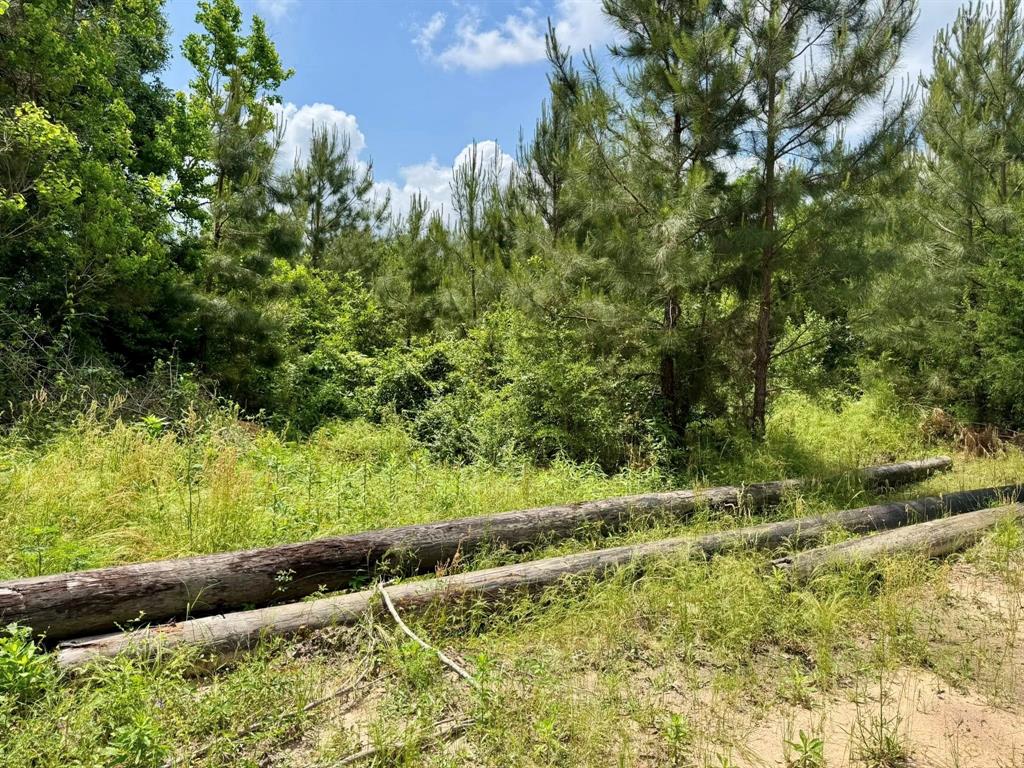 170 County Road 4545, Spurger, Texas image 26
