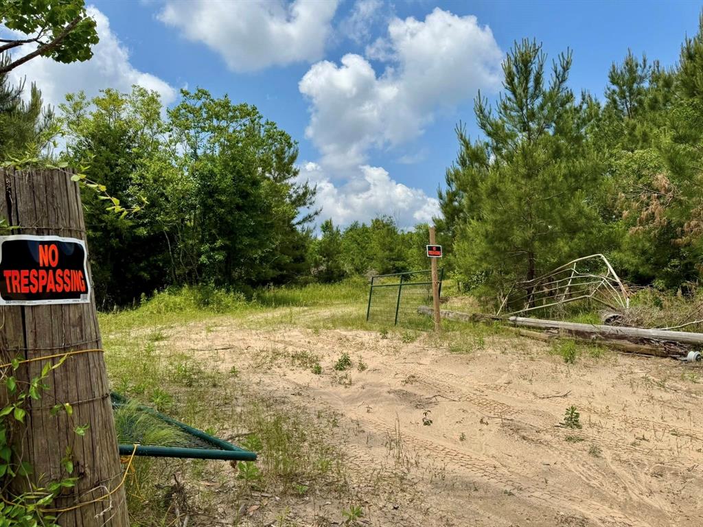 170 County Road 4545, Spurger, Texas image 25