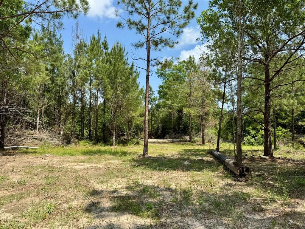 170 County Road 4545, Spurger, Texas image 23