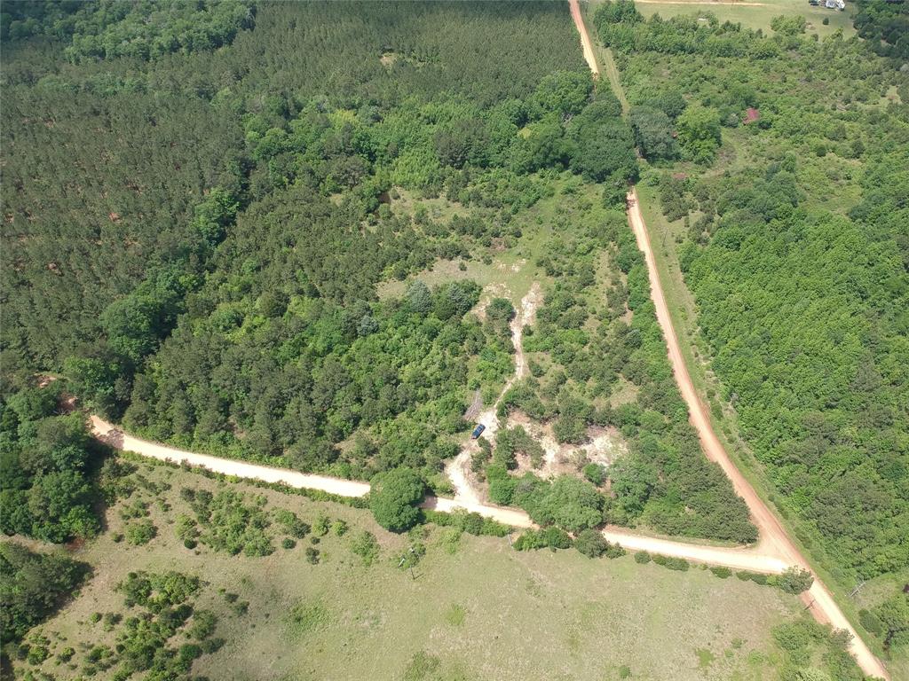 170 County Road 4545, Spurger, Texas image 2
