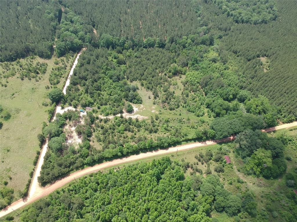170 County Road 4545, Spurger, Texas image 8