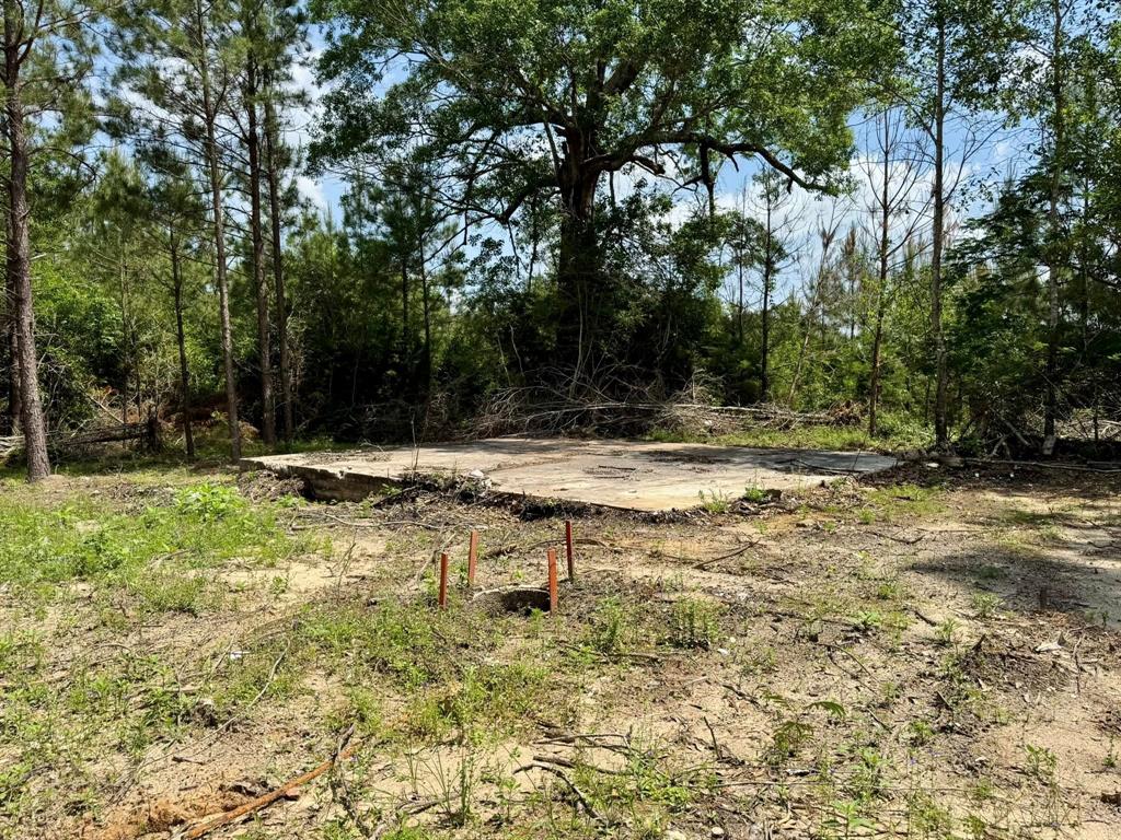 170 County Road 4545, Spurger, Texas image 20