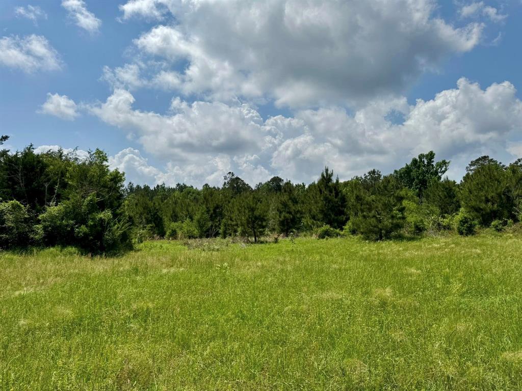 170 County Road 4545, Spurger, Texas image 16