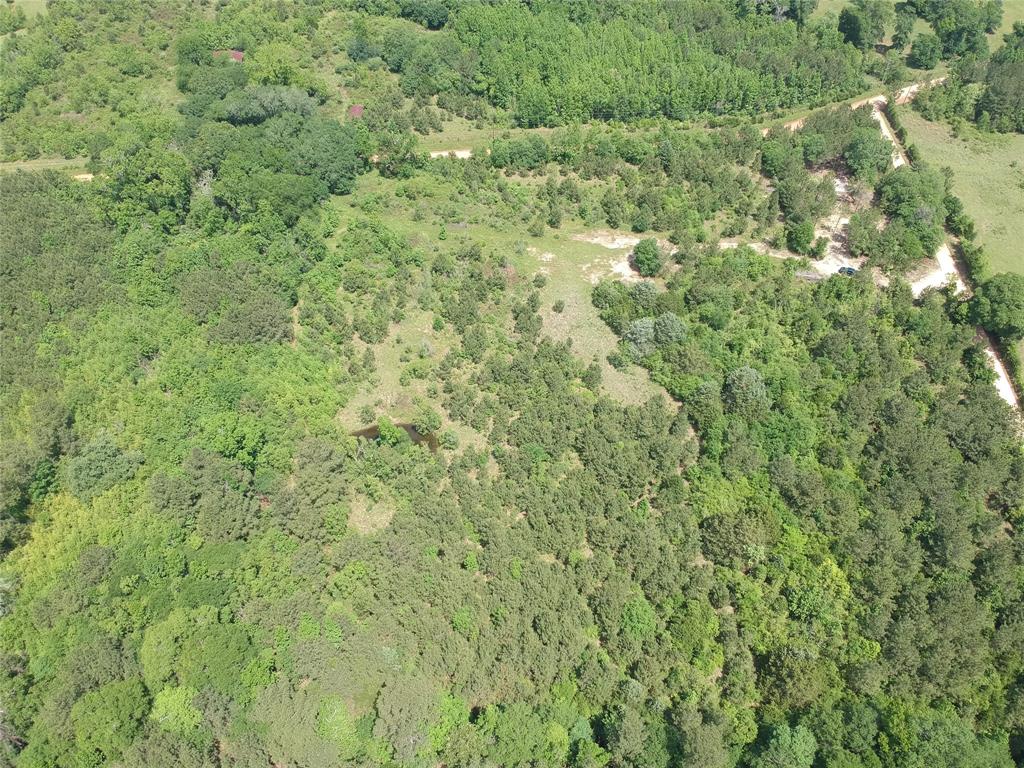 170 County Road 4545, Spurger, Texas image 5