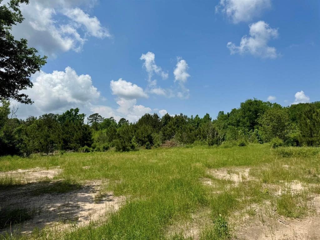 170 County Road 4545, Spurger, Texas image 17