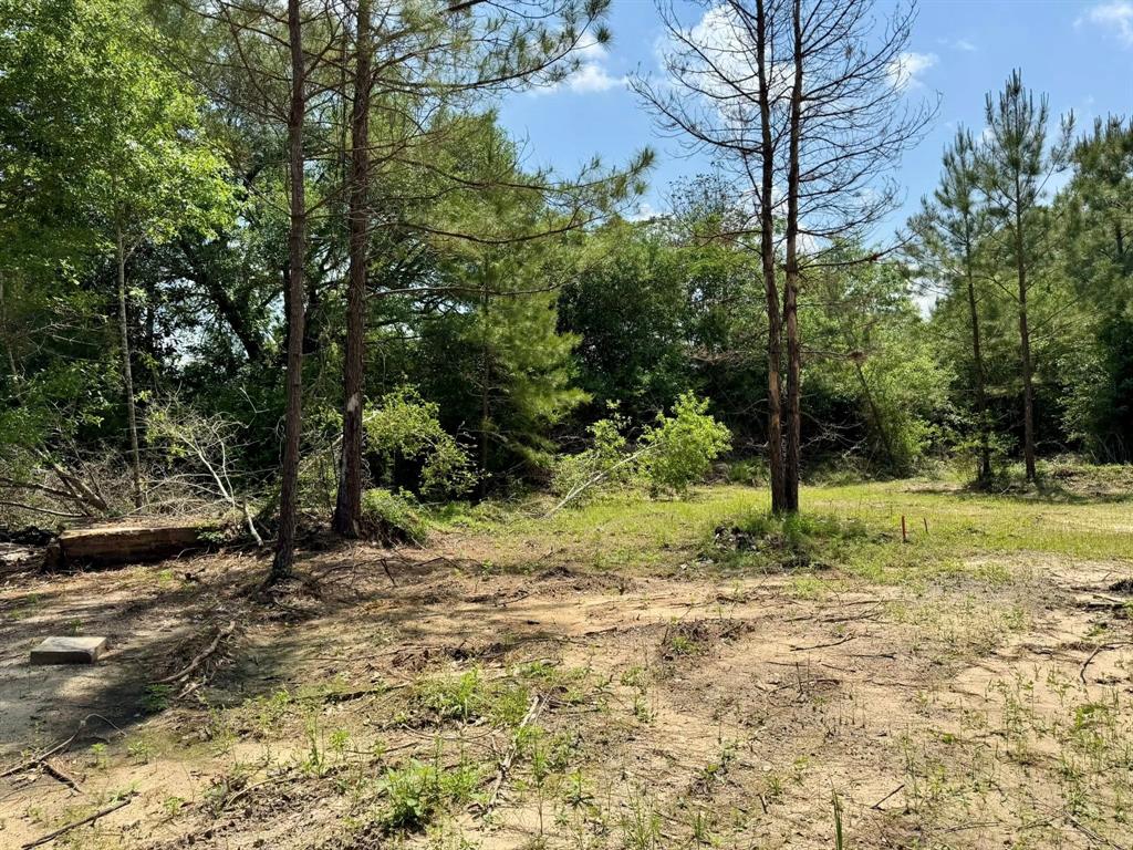 170 County Road 4545, Spurger, Texas image 19