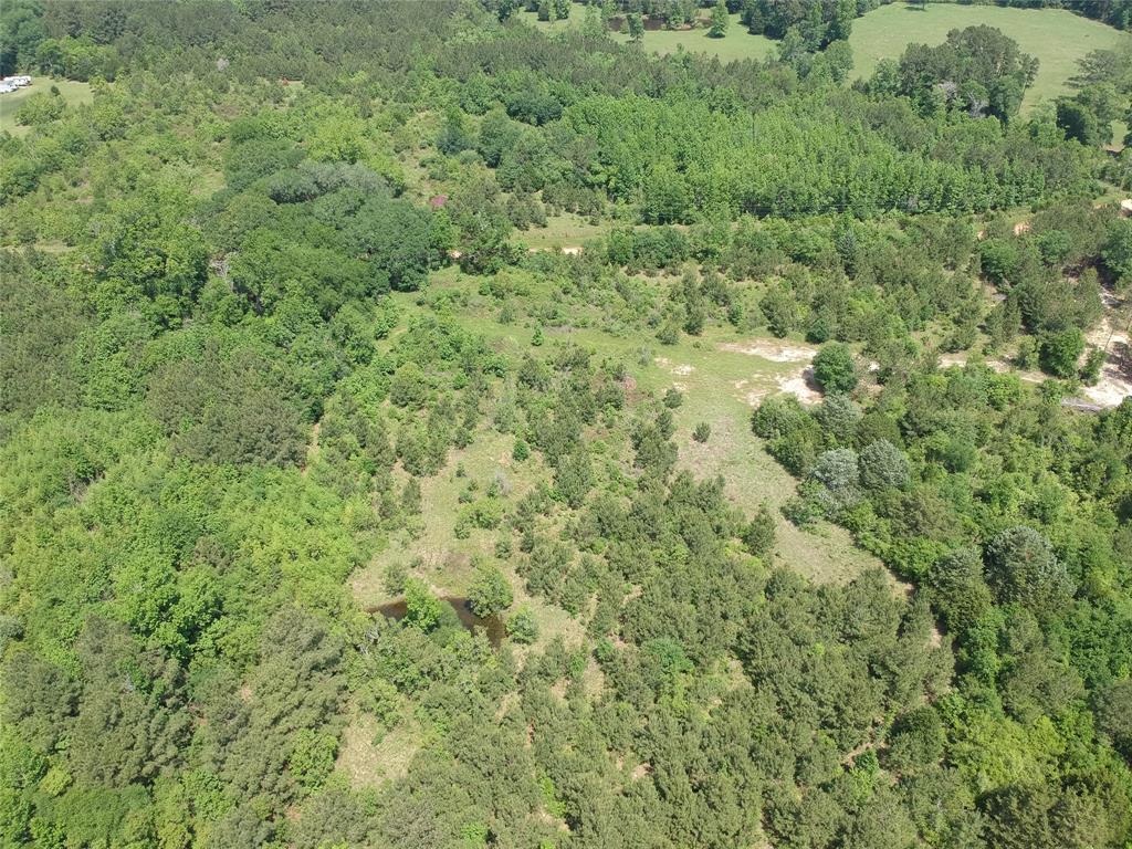 170 County Road 4545, Spurger, Texas image 4