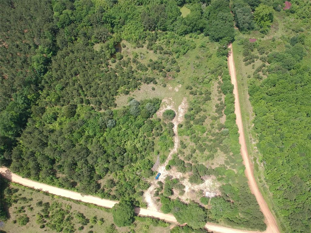 170 County Road 4545, Spurger, Texas image 3