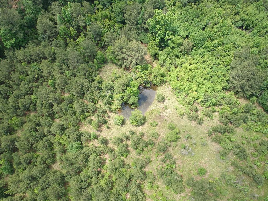 170 County Road 4545, Spurger, Texas image 11
