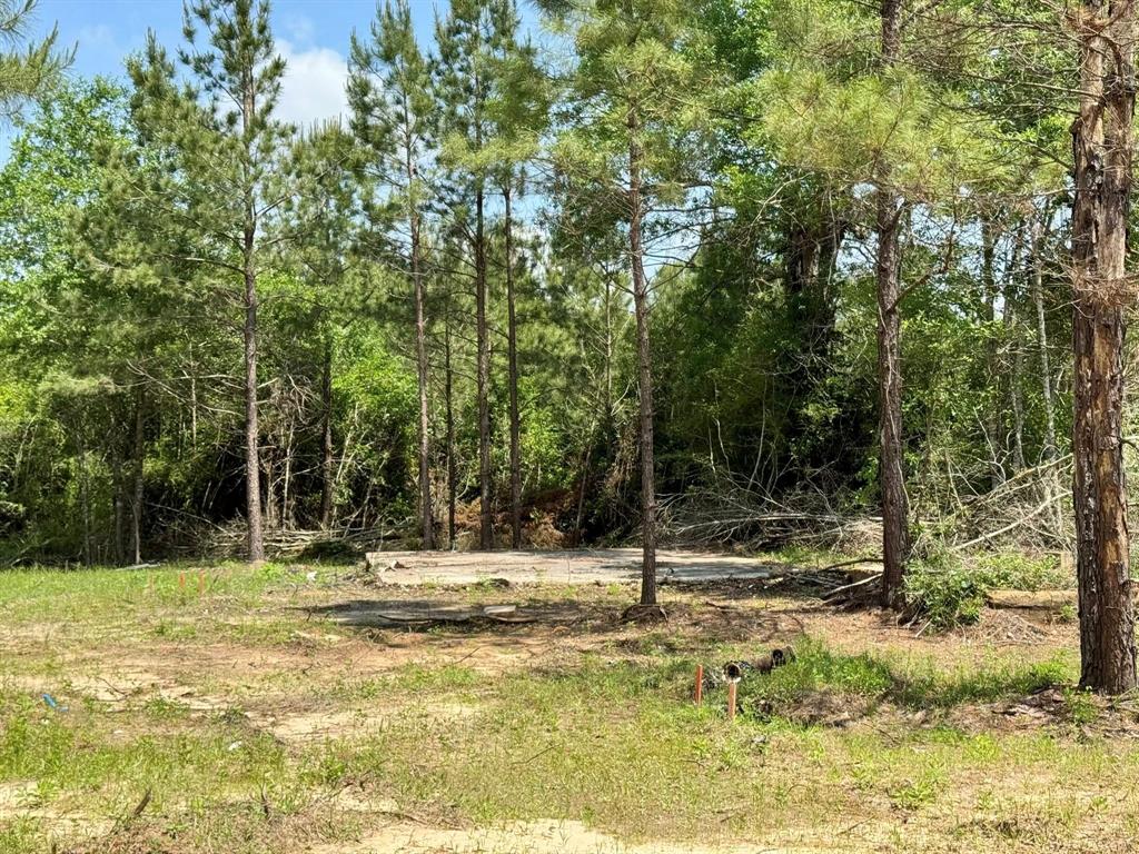 170 County Road 4545, Spurger, Texas image 21
