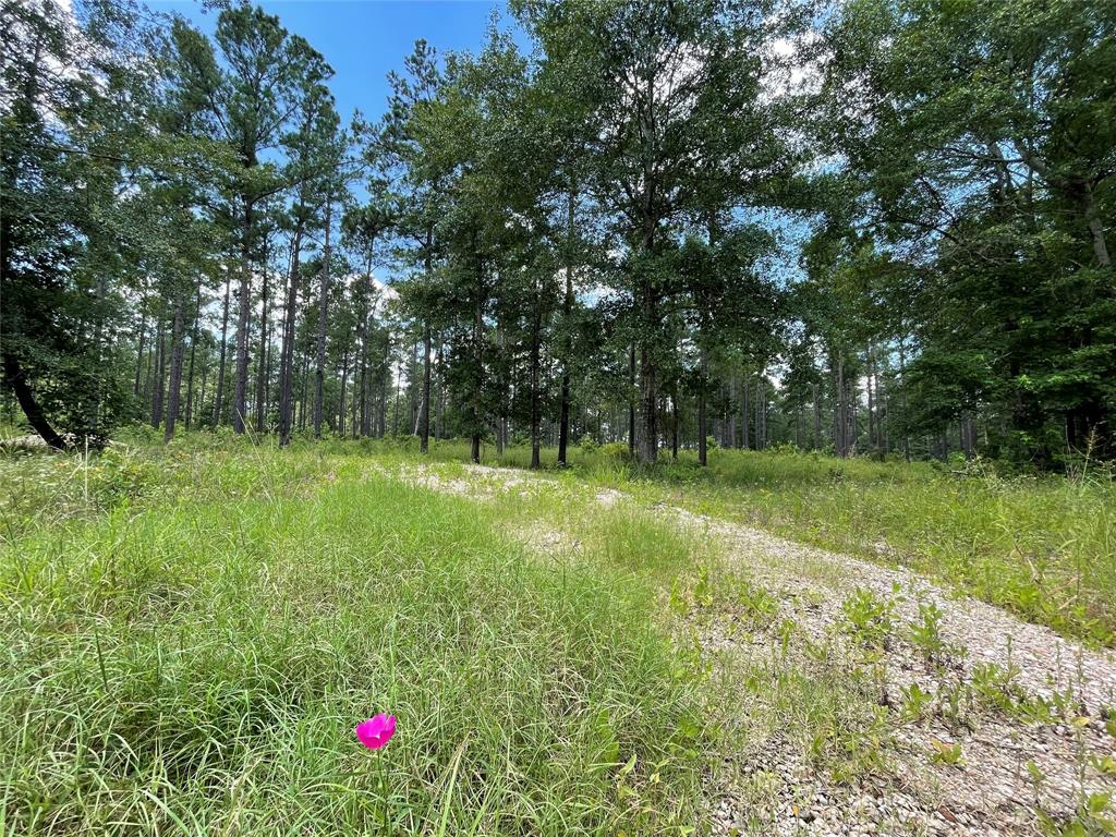 TBD Old Us Highway 287 Road, Groveton, Texas image 1