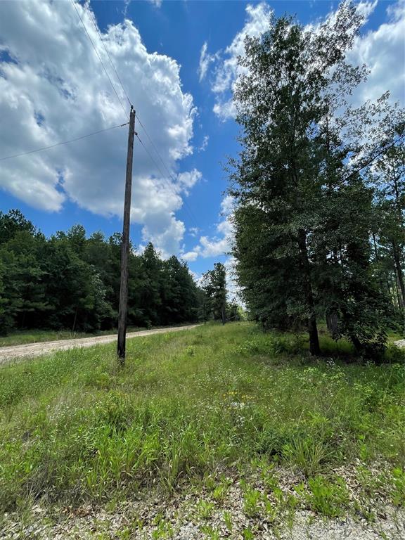 TBD Old Us Highway 287 Road, Groveton, Texas image 6