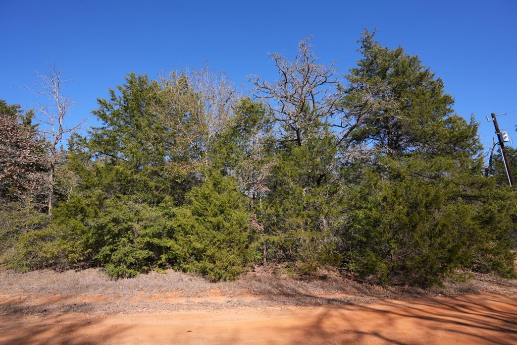 726 And 752 Cedar Creek Road, Caldwell, Texas image 9