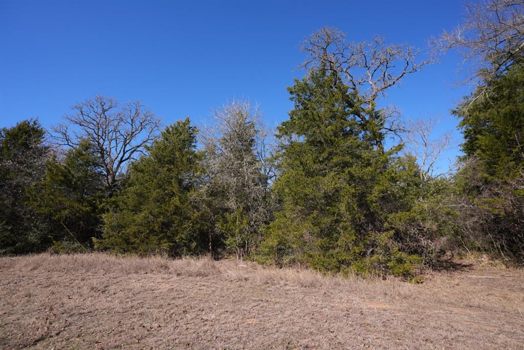 726 And 752 Cedar Creek Road, Caldwell, Texas image 12