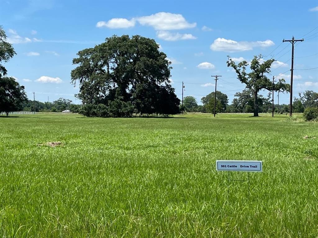 301 Cattle Drive Trail, Angleton, Texas image 2