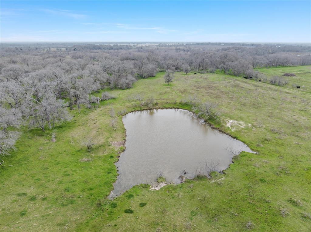 40 Ac Lcr 615, Groesbeck, Texas image 8