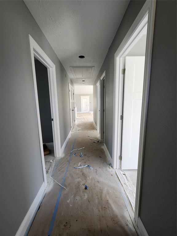 375 Horse Shoe Trail, Angleton, Texas image 10