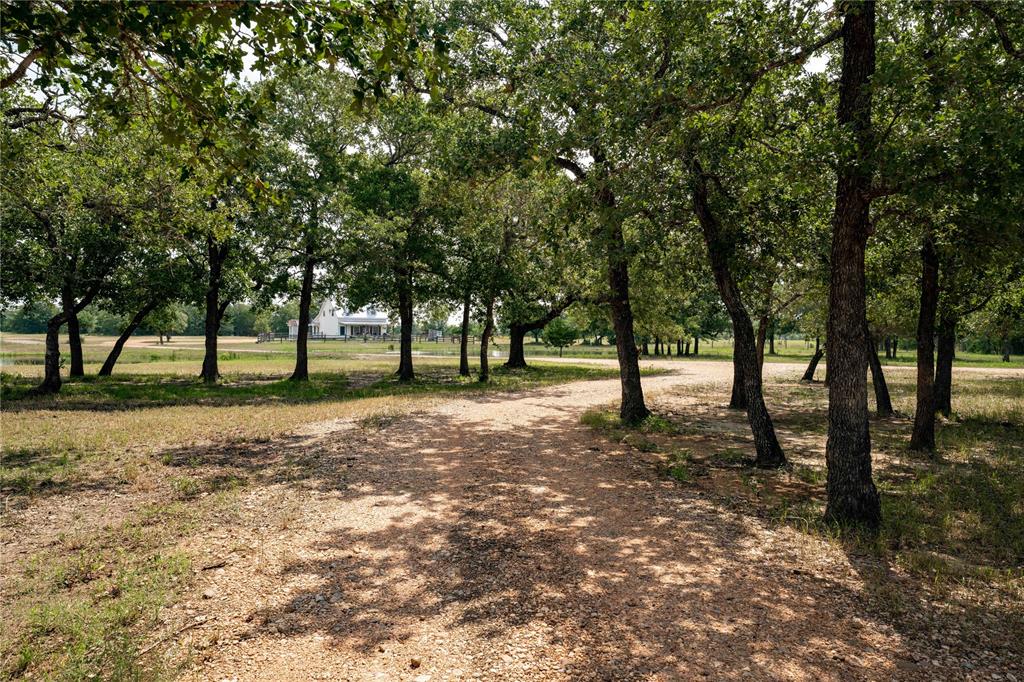 5939 Round Top Road, Round Top, Texas image 10