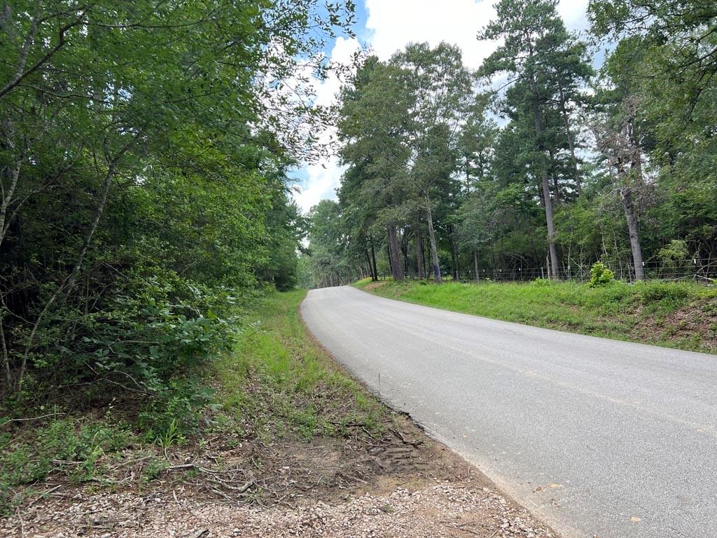 TBD County Road 302, Plantersville, Texas image 1