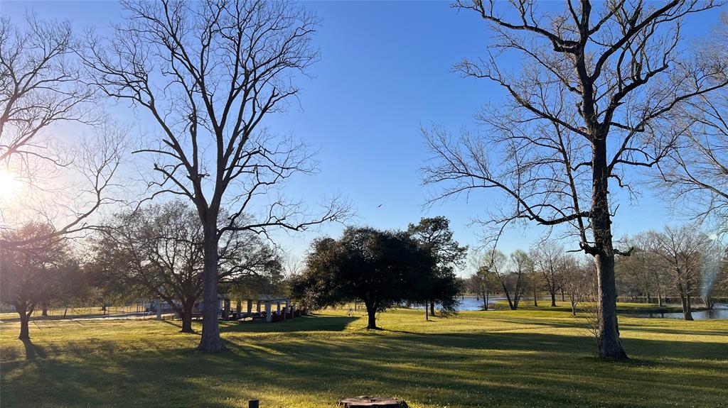 101 Vickie Lane, Shepherd, Texas image 12