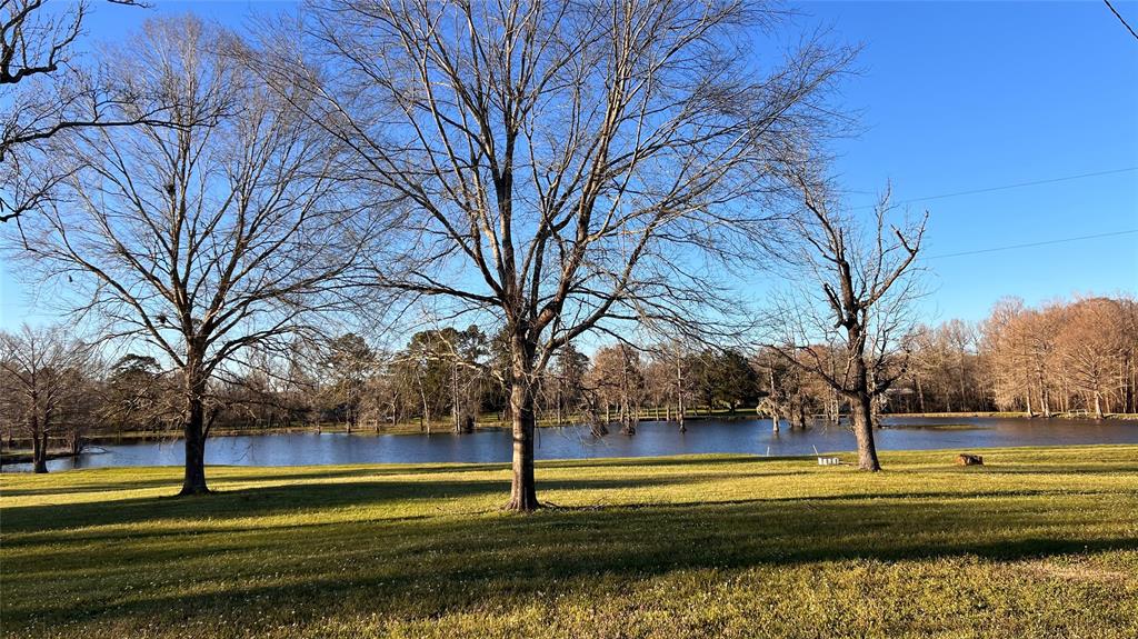 101 Vickie Lane, Shepherd, Texas image 11